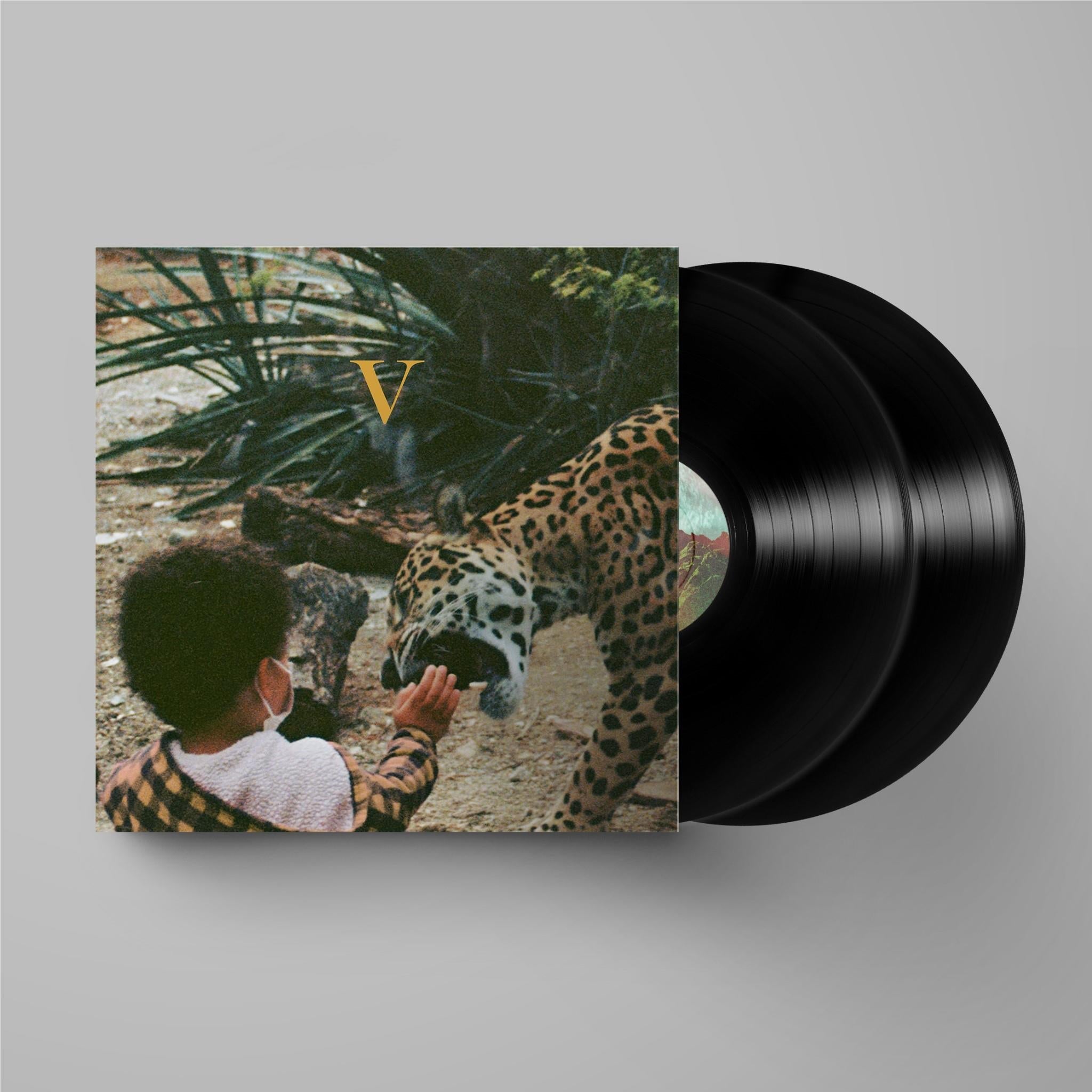 V (Vinyl) - By: Unknown Mortal Orchestra
