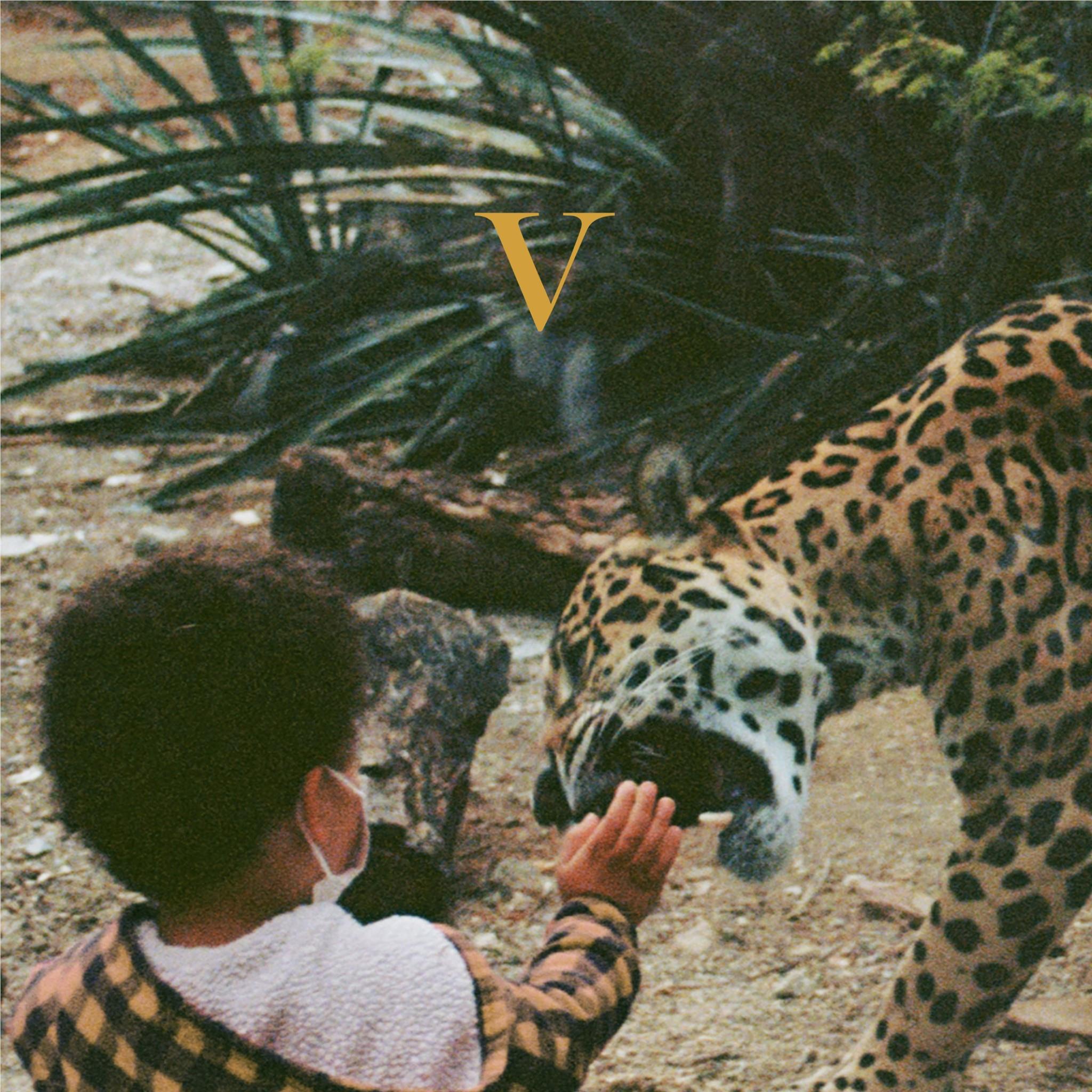 V (Vinyl) - By: Unknown Mortal Orchestra