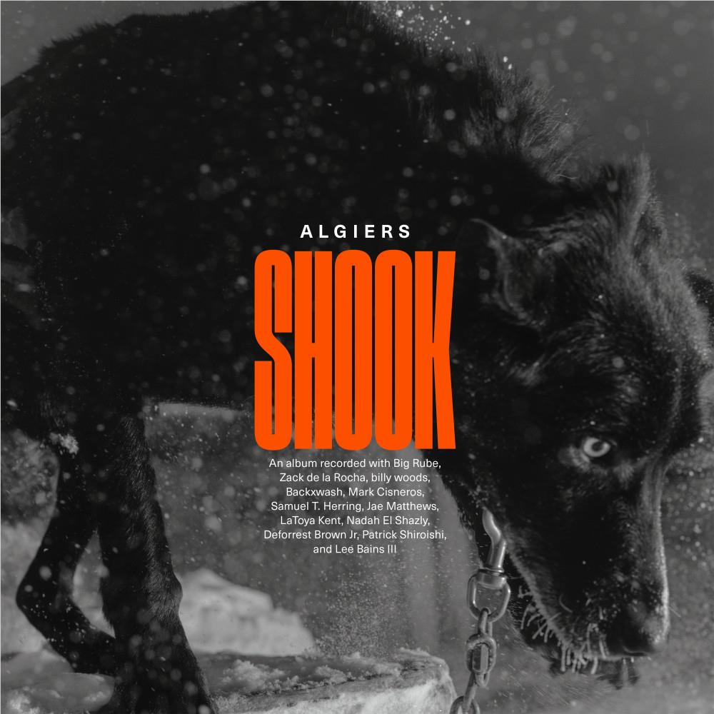 Shook, By: Algiers