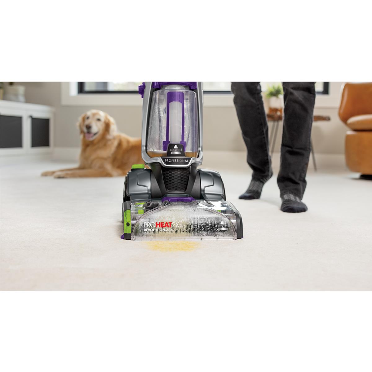 Upright carpet cleaner with spray head and clear tank in black and purple