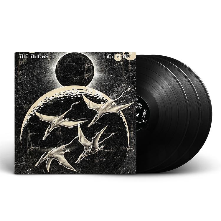High Flyin' (Vinyl) - By: Ducks, The