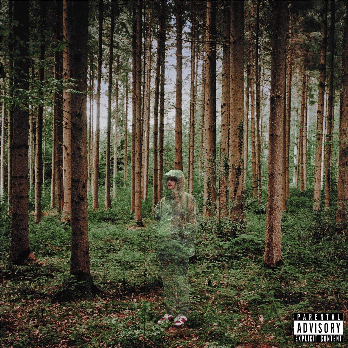 Music album cover with forest trees, person in hat, and Parental Advisory label