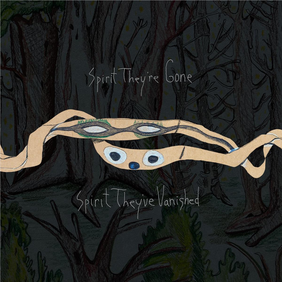 Spirit They’re Gone, Spirit They’ve Vanished (Vinyl) - By:Animal Collective