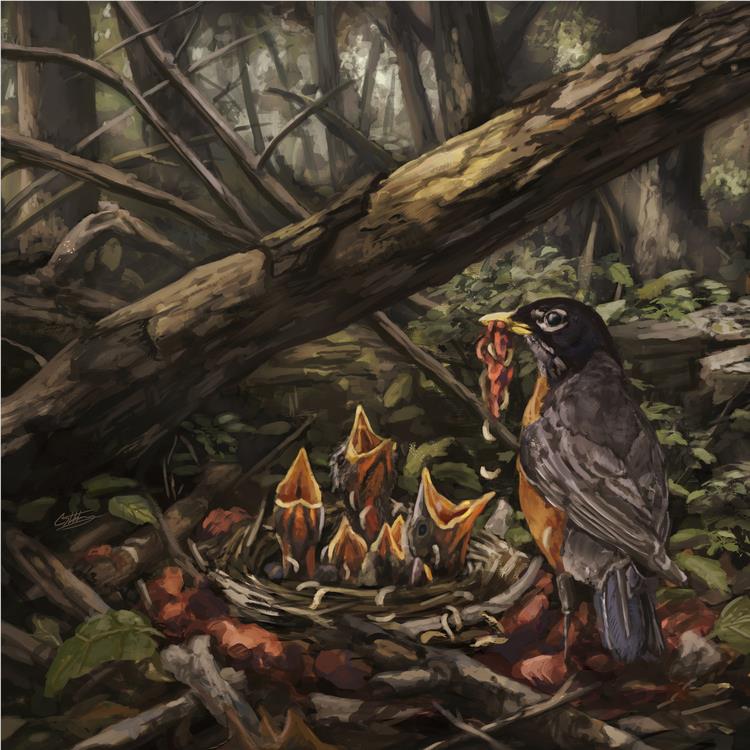 Step Into The Light (Highlighter Yellow Coloured Vinyl) - By: Acacia Strain, The