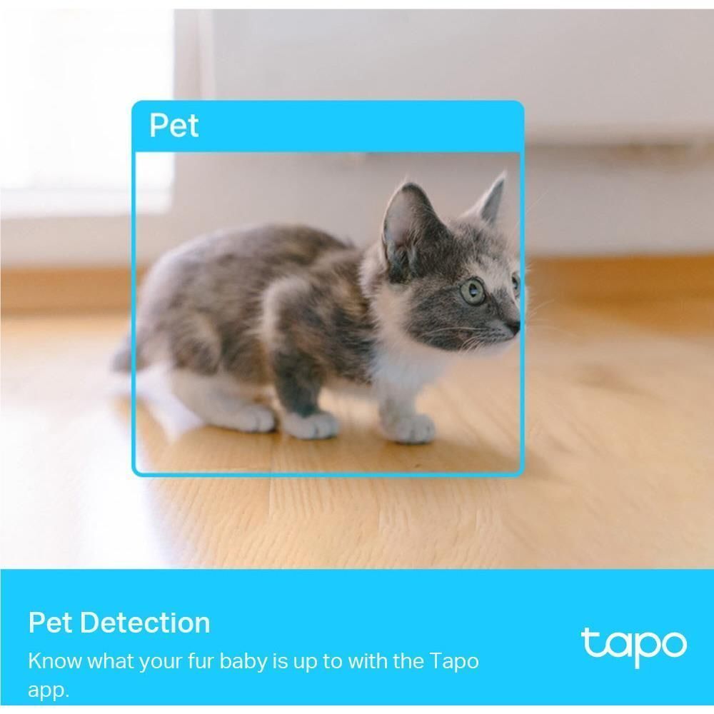 Home security Wi‑Fi camera pet detection frame highlighting a gray kitten