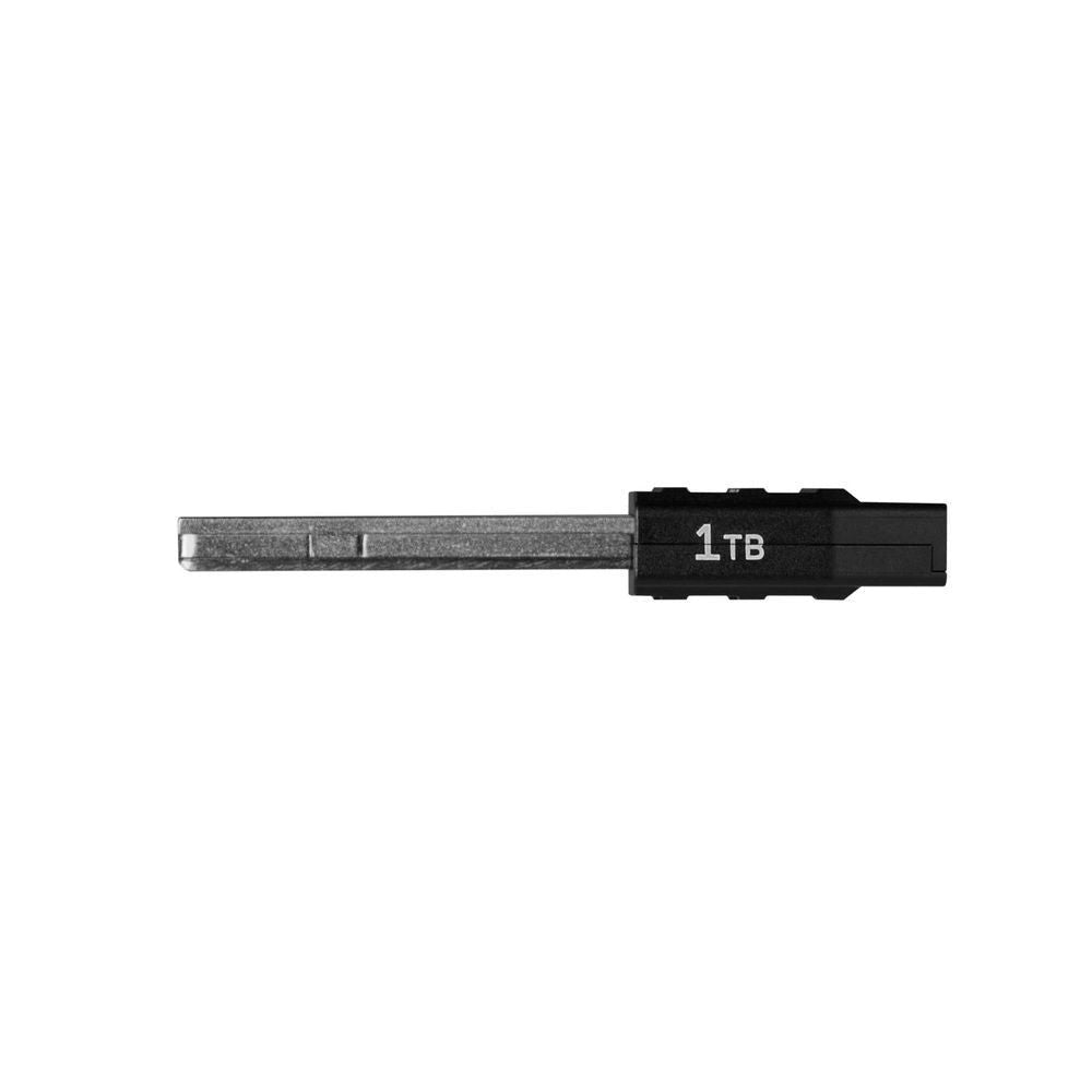 WD_BLACK C50 expansion card side view with gray metal edge and 1TB label