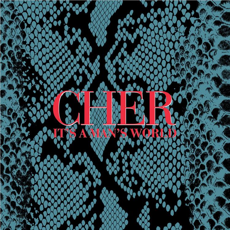 It’s A Man’s World, By: Cher