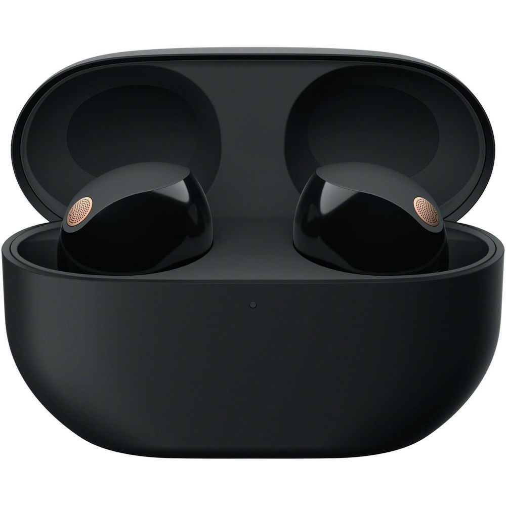 Sony WF-1000XM5 True Wireless Noise Cancelling Earbuds (Black)