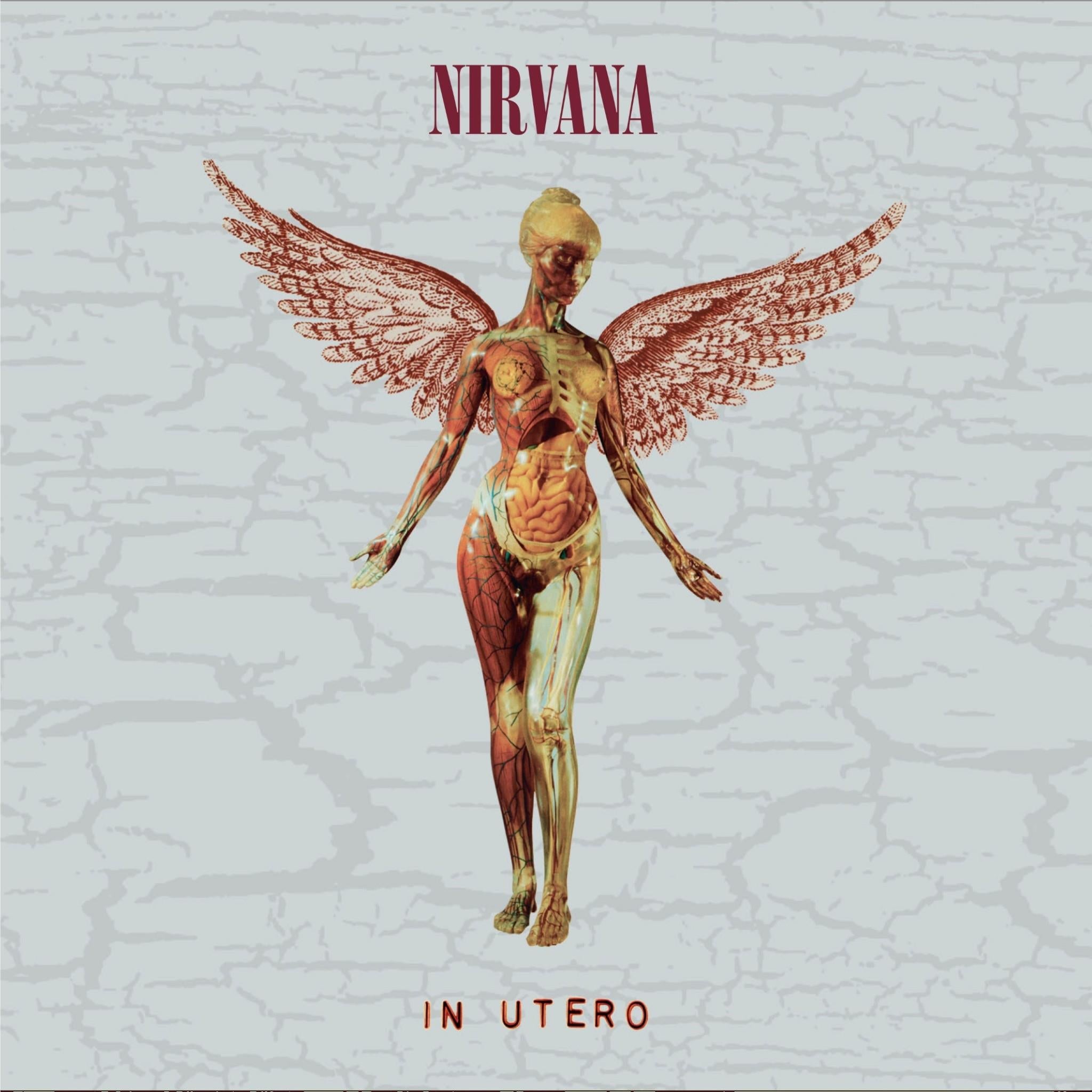 In Utero: 30th Anniversary Edition (Super Deluxe Vinyl Box Set) - By: Nirvana