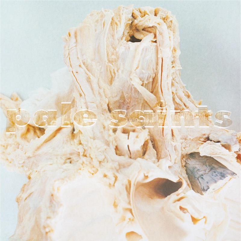 In Ribbons, By: Pale Saints