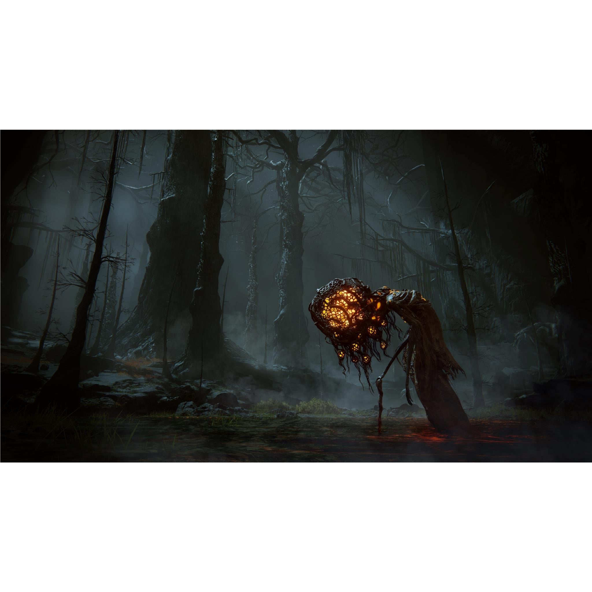 Elden Ring: Shadow of the Erdtree Edition