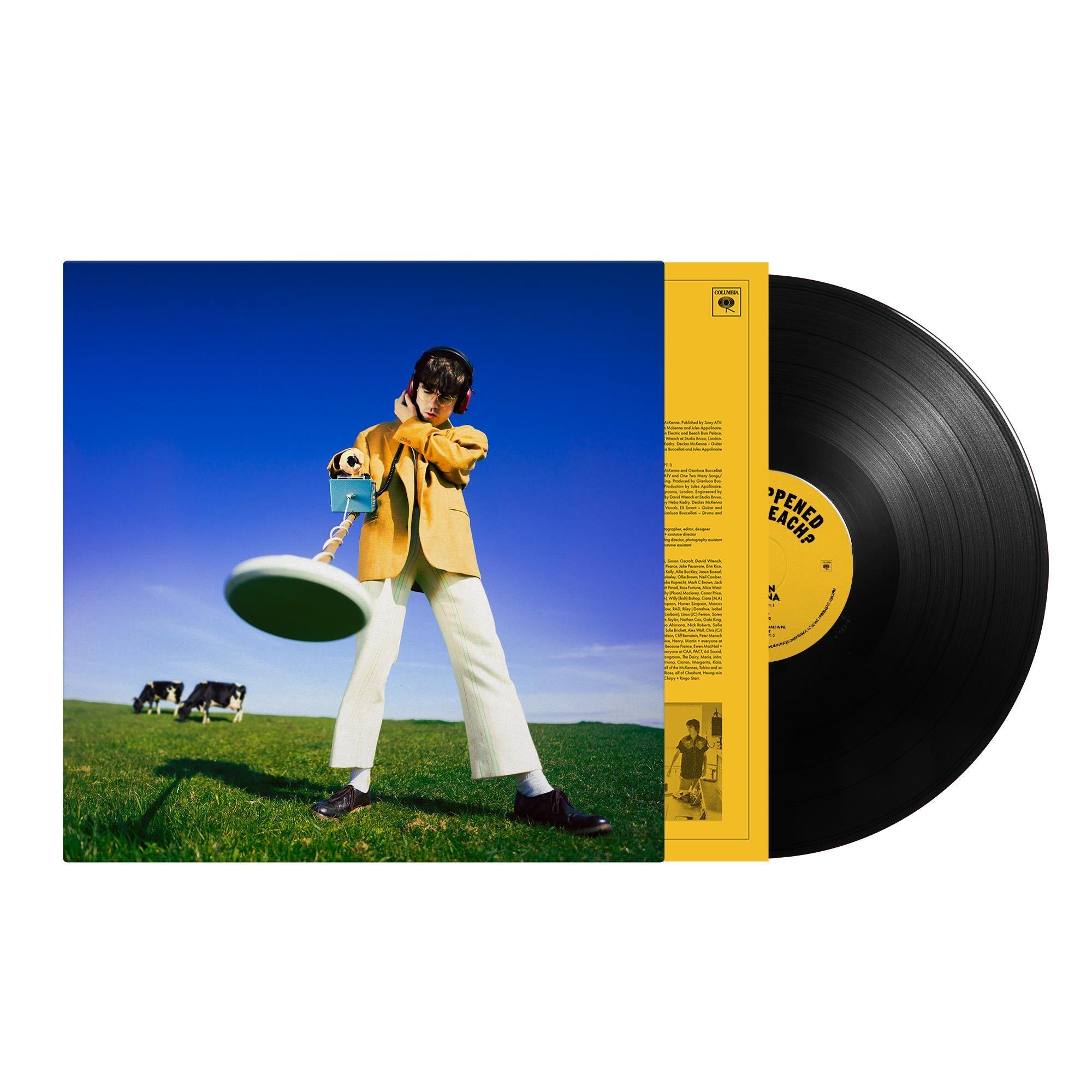 What Happened To The Beach? (Vinyl) - By: Declan Mckenna