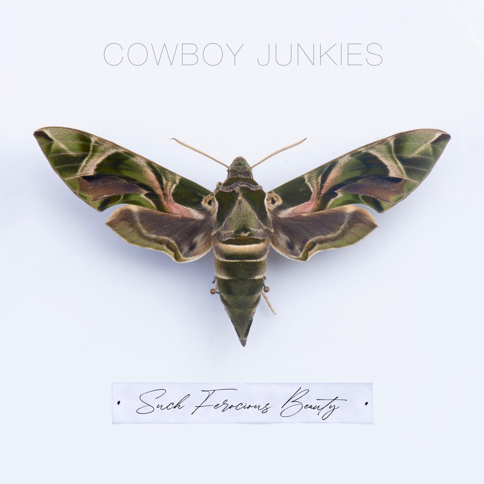 Such Ferocious Beauty, By: Cowboy Junkies