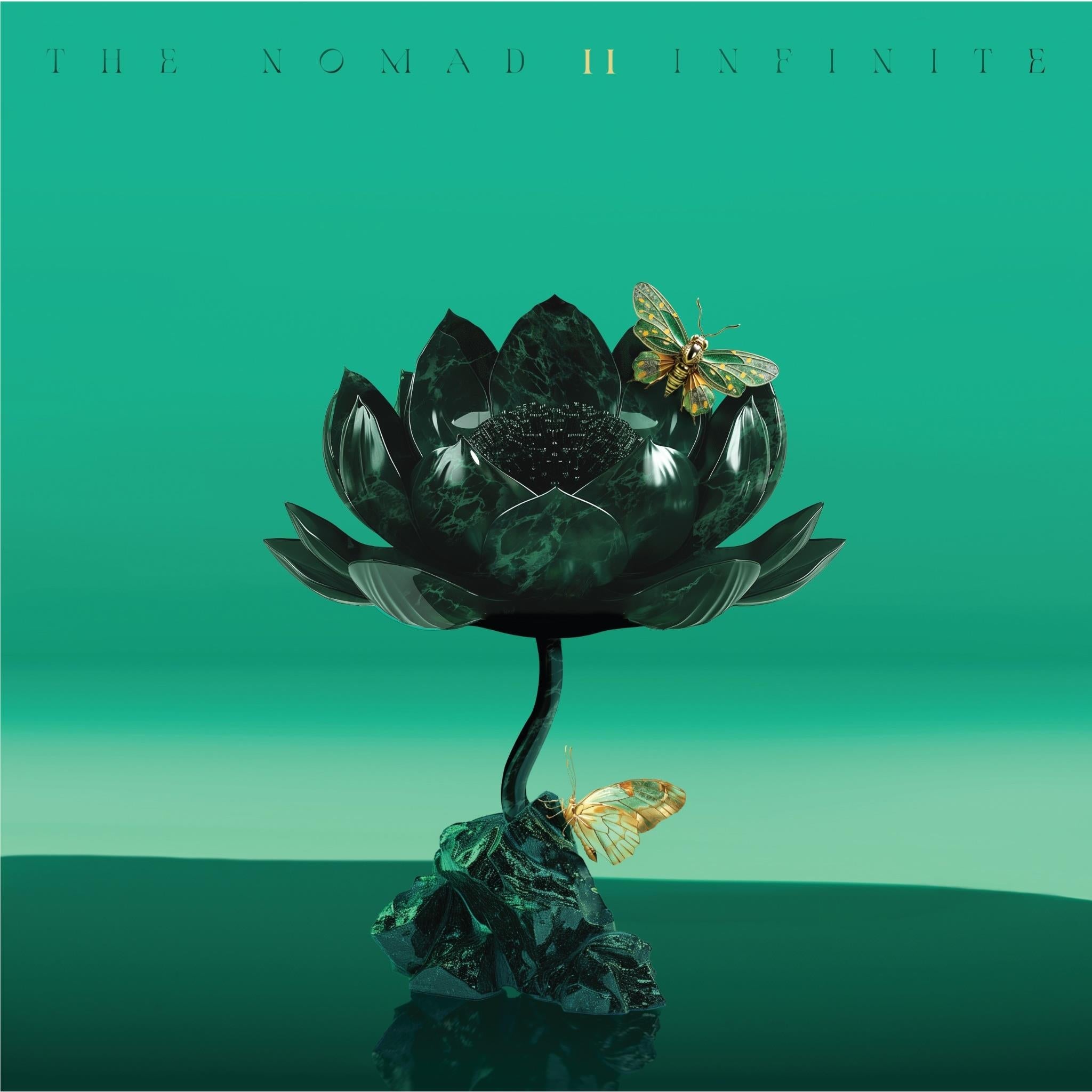 Infinite II (Vinyl) - By: The Nomad
