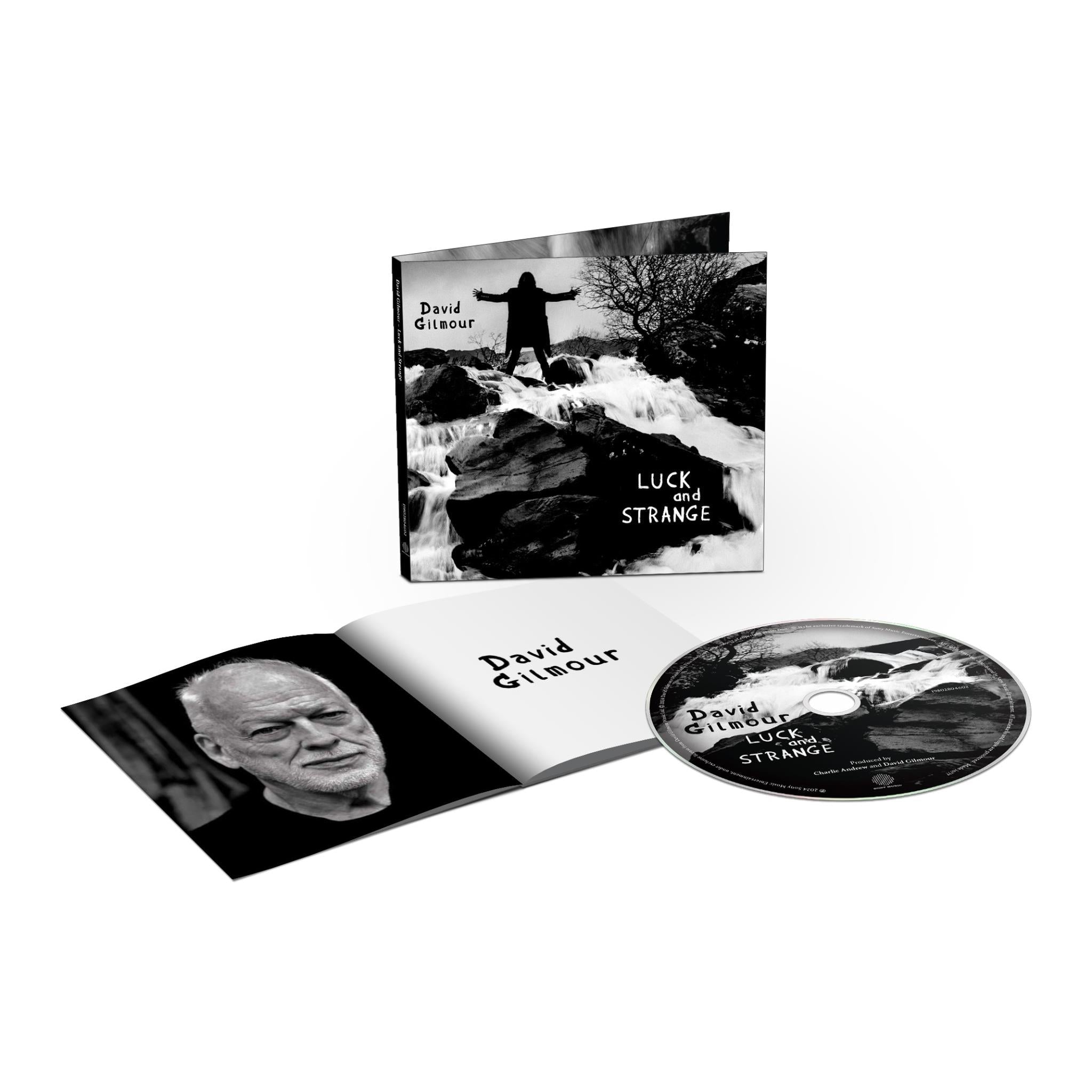 Luck and Strange, By: David Gilmour