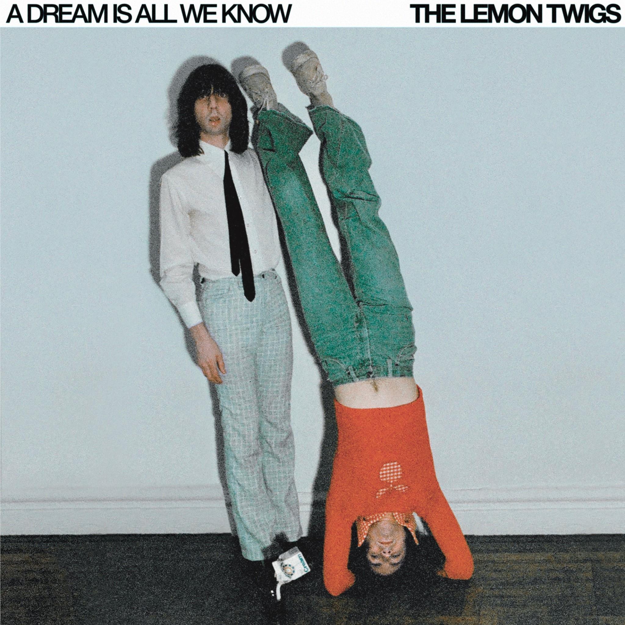 A Dream Is All We Know, By: The Lemon Twigs