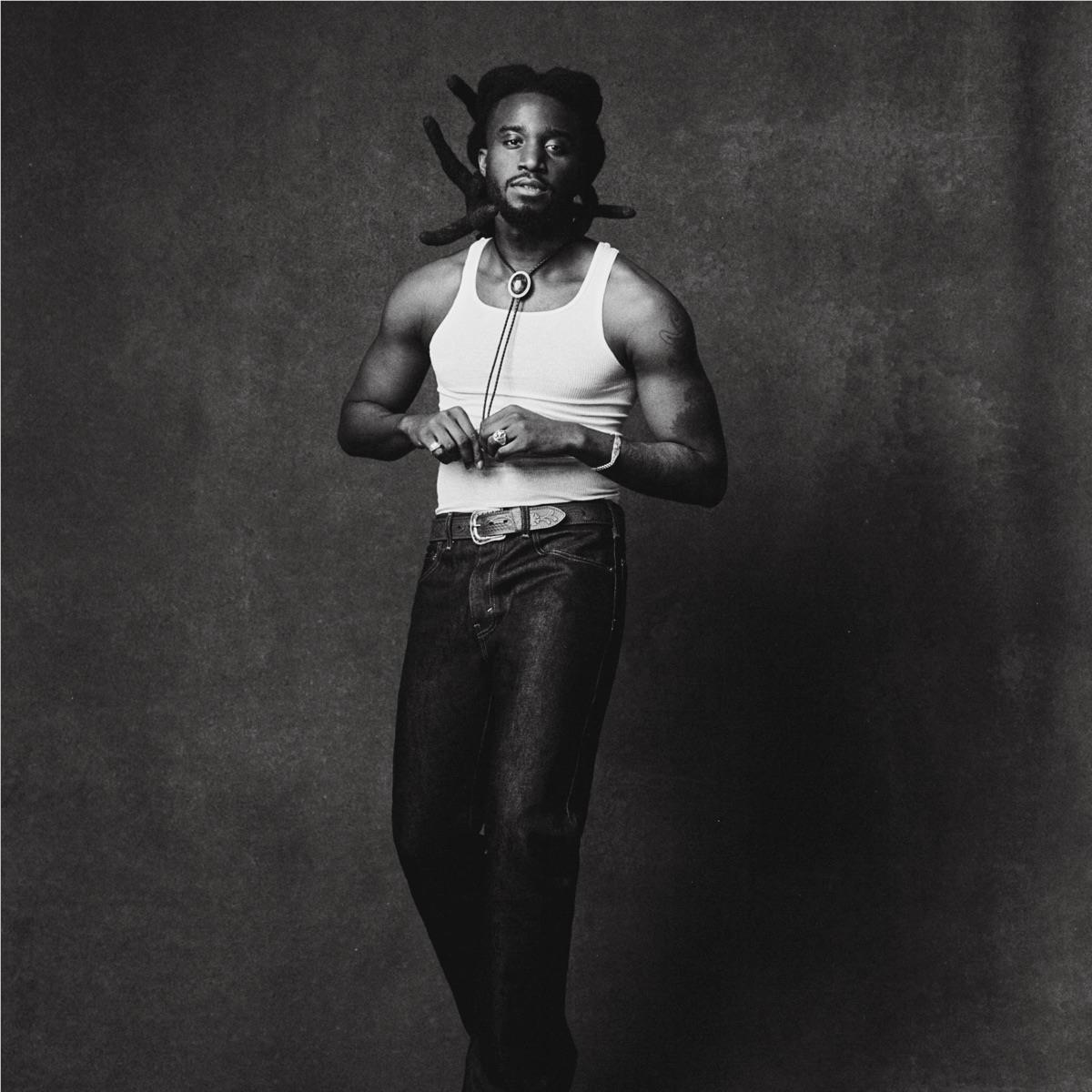 Where I've Been, isn't Where I'm Going (Vinyl) - By: Shaboozey