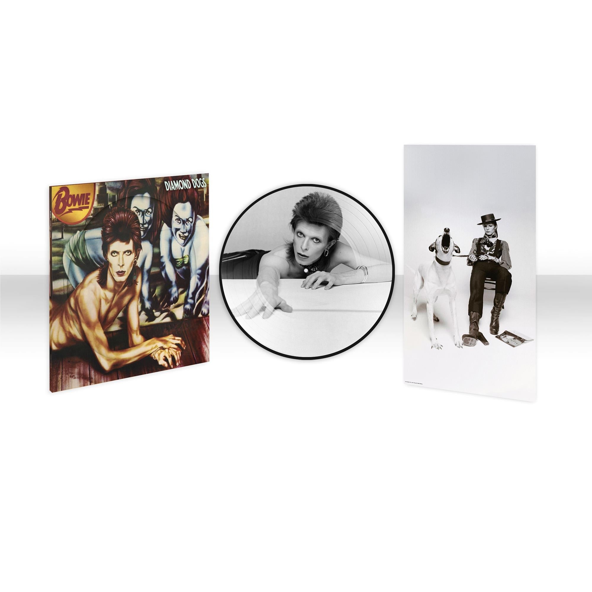 Diamond Dogs (Picture Disc Vinyl) (2024 Reissue) - By: David Bowie