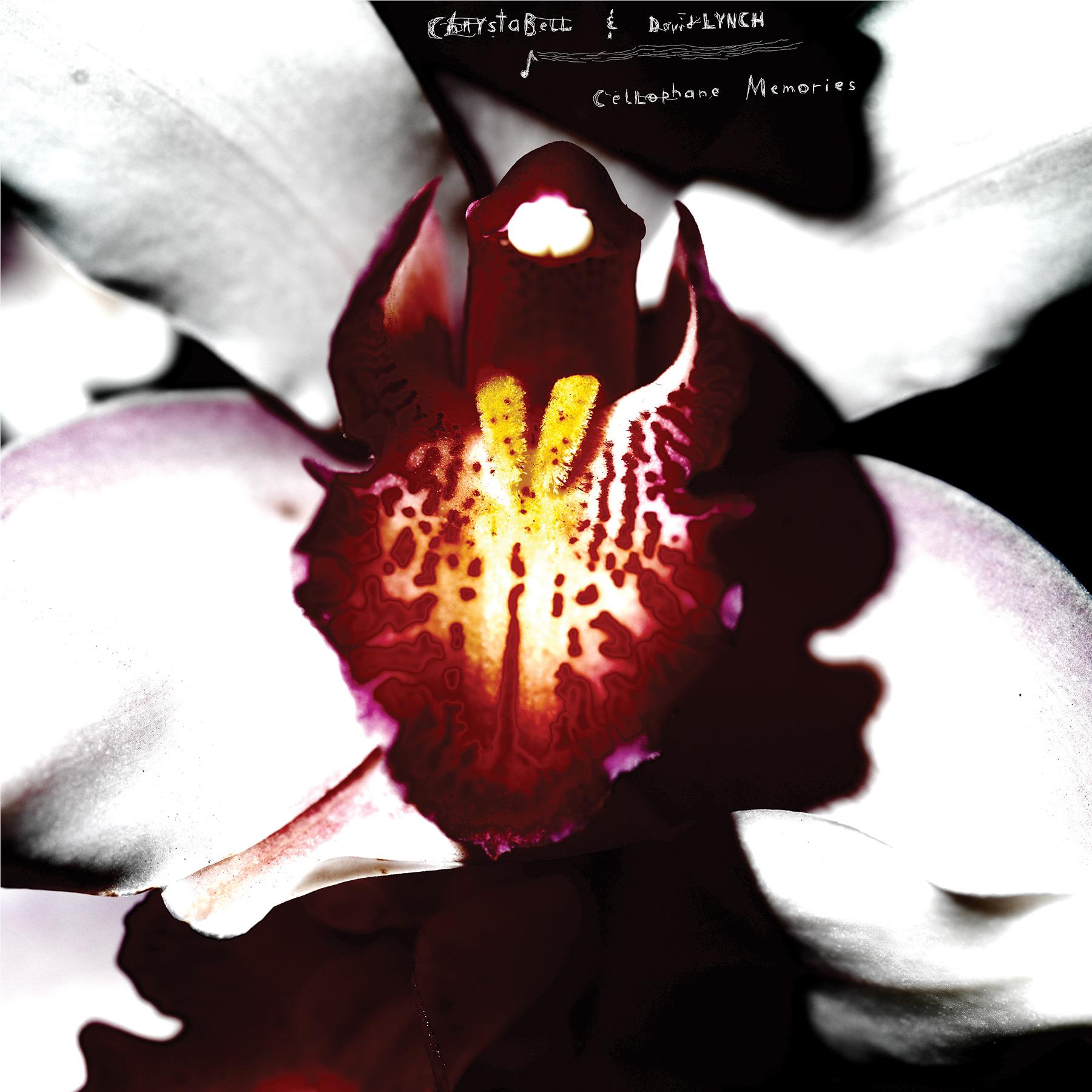 Cellophane Memories, By: Chrystabell & David Lynch