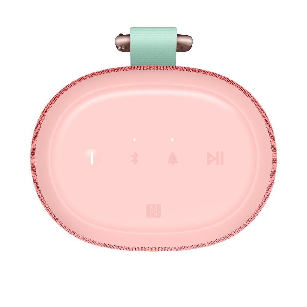 Ultimate Ears EVERBOOM Portable Bluetooth Speaker (Raspberry)