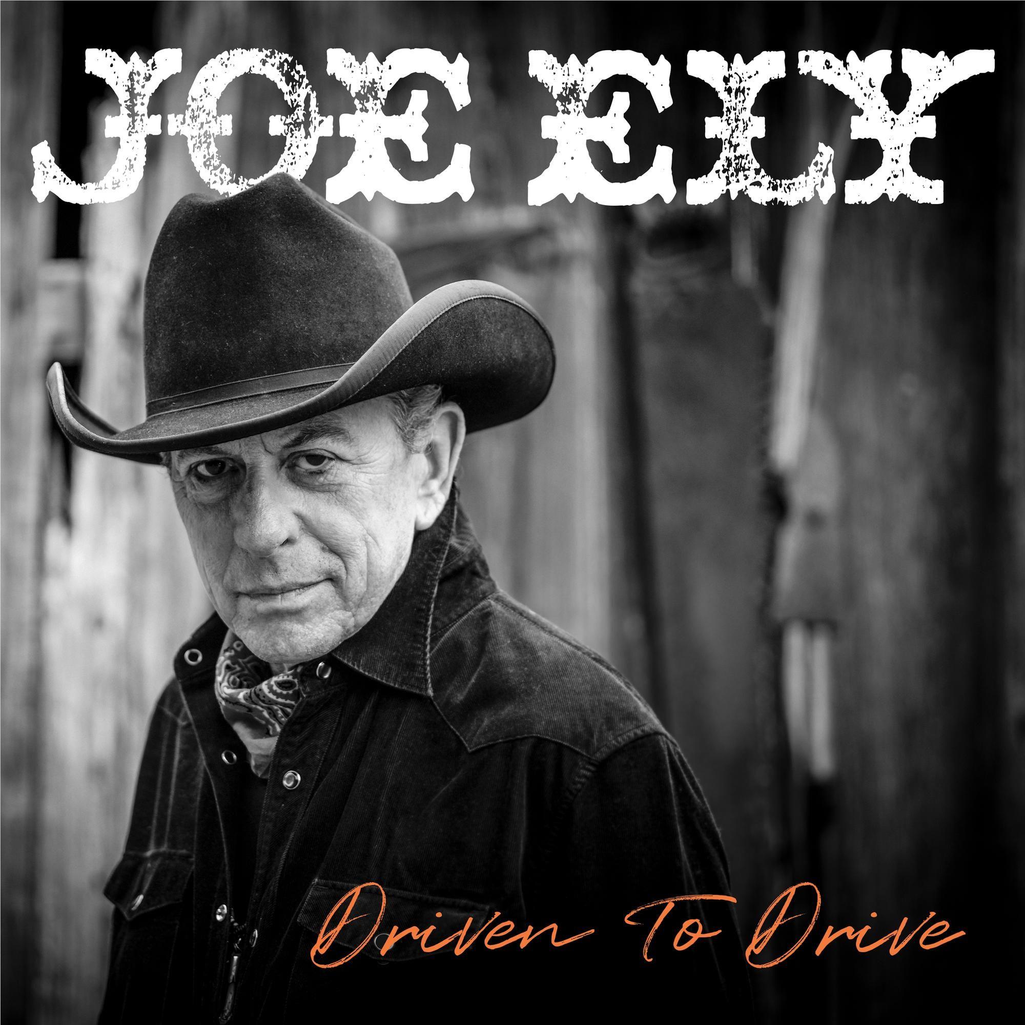 Driven to Drive, By: Joe Ely