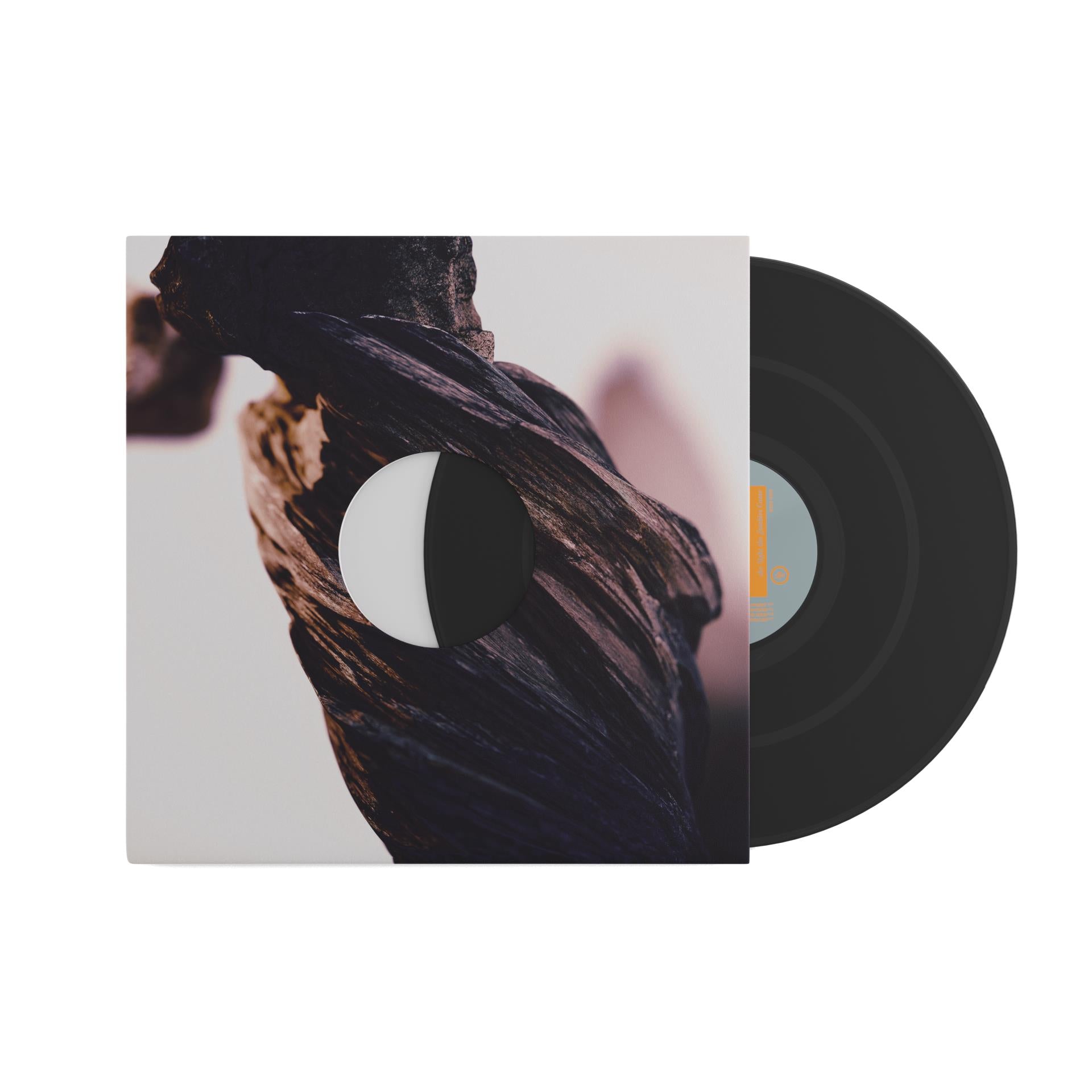 The Night the Zombies Came (Vinyl) - By: Pixies
