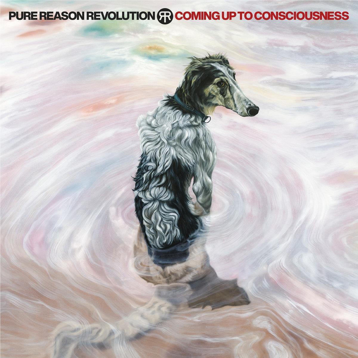Coming Up To Consciousness (Blue Vinyl) - By: Pure Reason Revolution