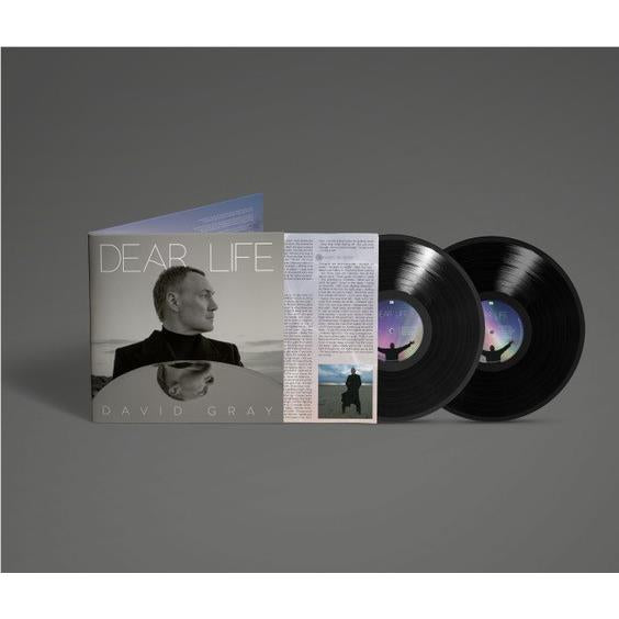 Dear Life (Vinyl) - By: David Gray