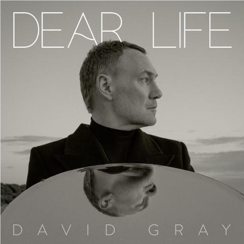 Dear Life (Vinyl) - By: David Gray