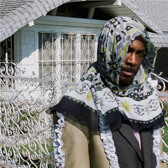 All My Heroes Are Cornballs (Vinyl) - By: Jpegmafia