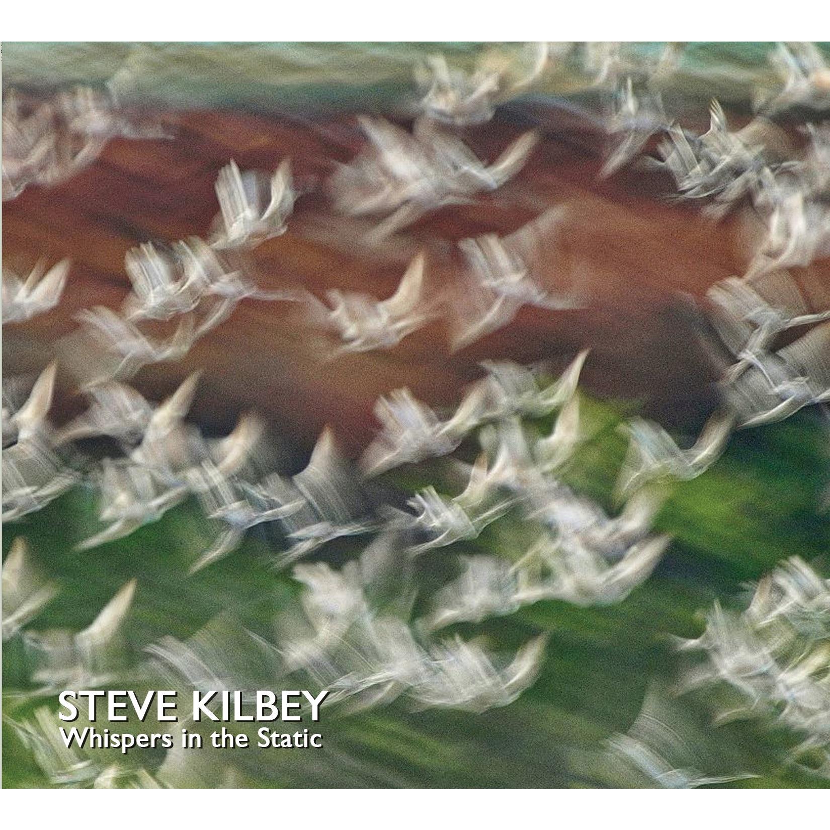 Steve Kilbey album cover with white bird-like shapes over green and brown background