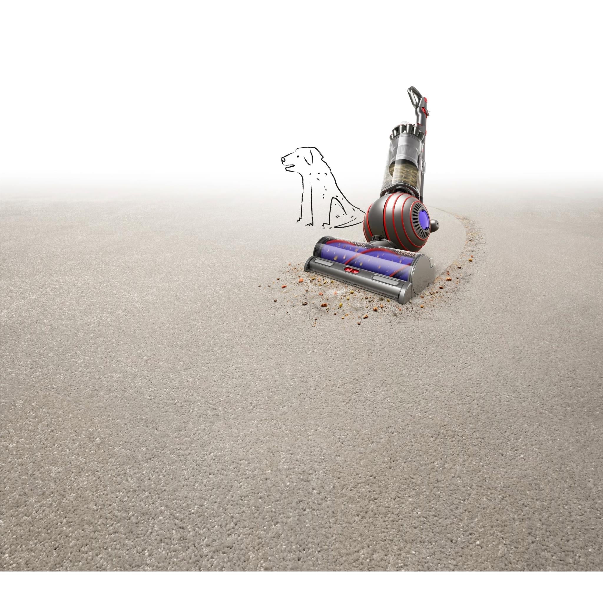 Dyson Ball Animal Origin Upright Vacuum