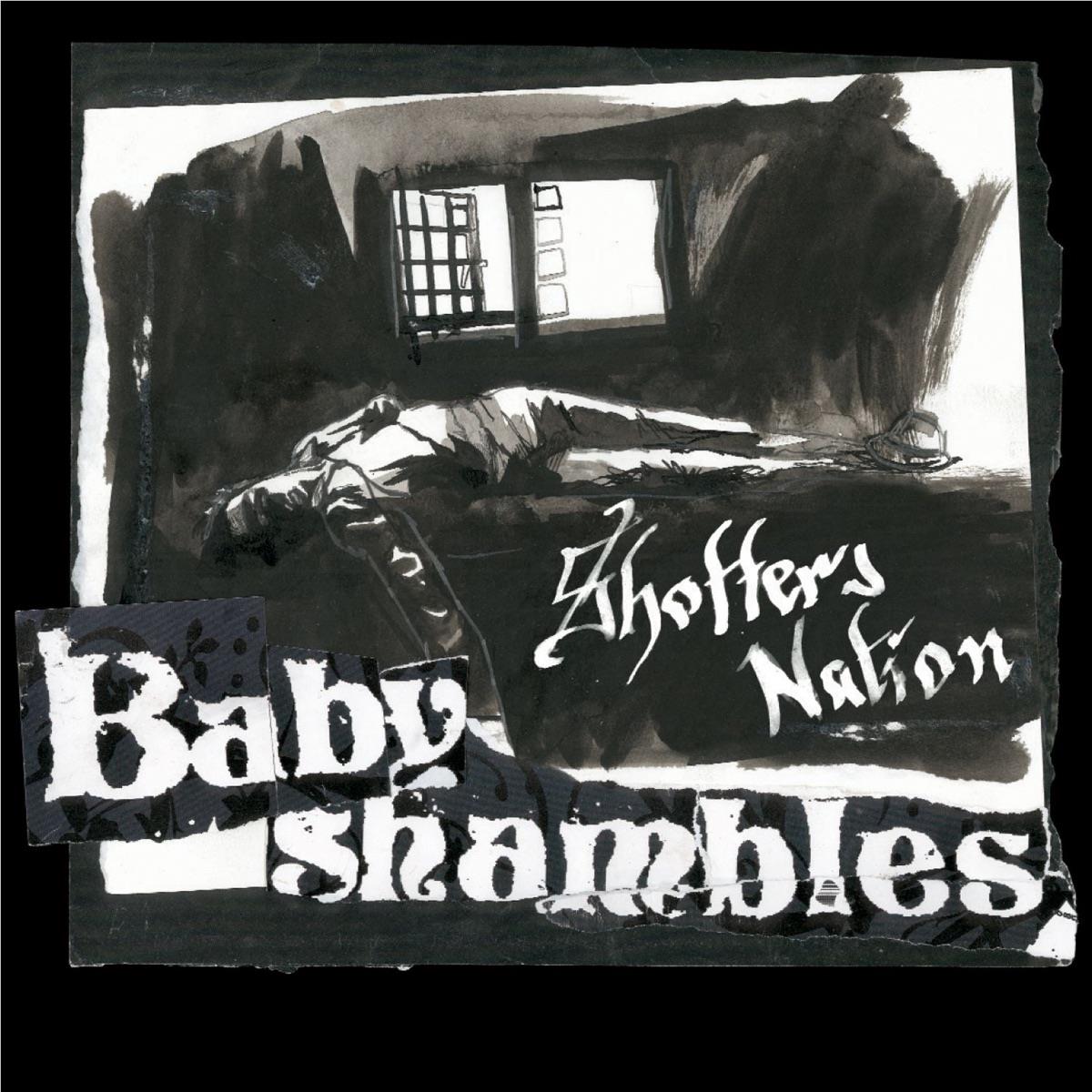 Shotter's Nation (Clear Vinyl) - By:Babyshambles