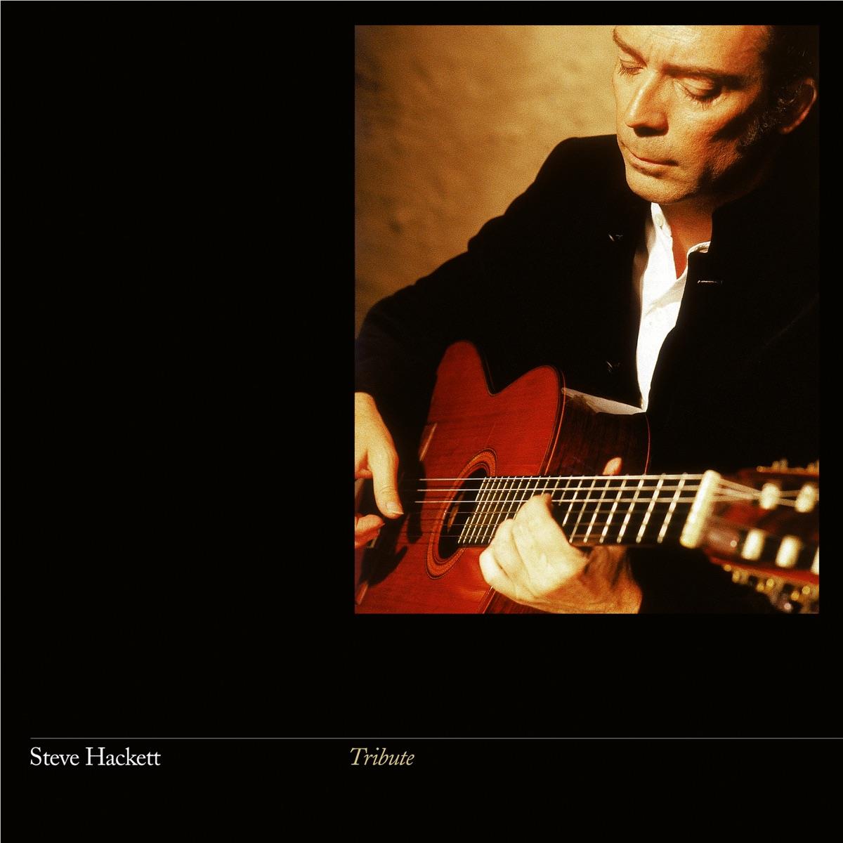 Tribute (Vinyl) - By: Steve Hackett