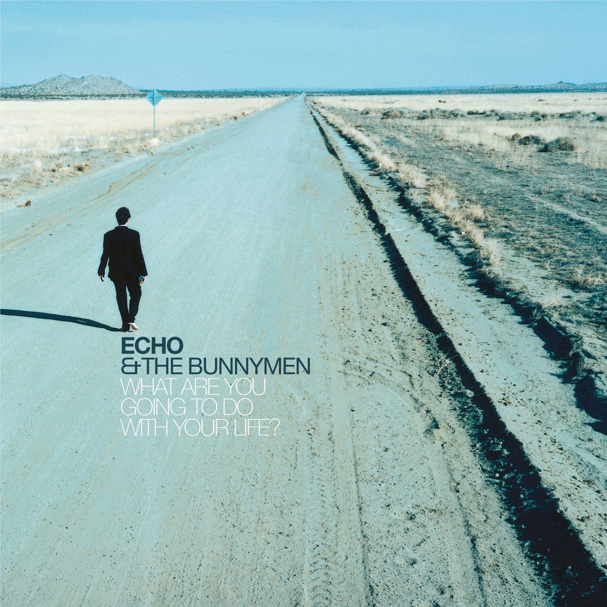 What Are You Going To Do With Your Life? (25th Anniversary Edition), By: Echo & The Bunnymen