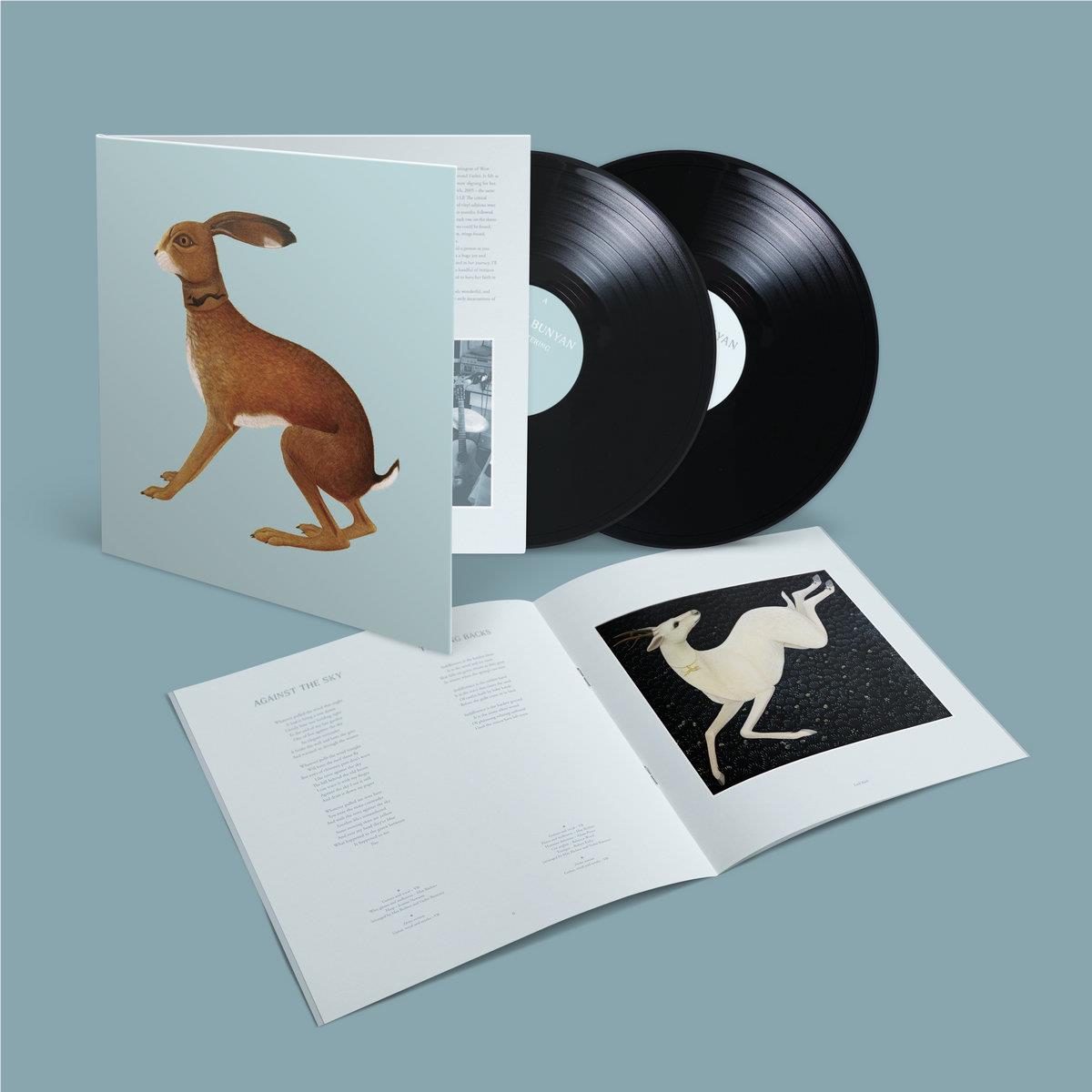 Lookaftering (Expanded Edition Vinyl) - By: Vashti Bunyan