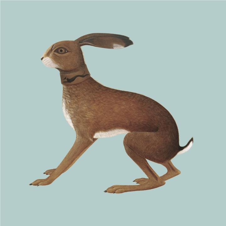 Lookaftering (Expanded Edition Vinyl) - By: Vashti Bunyan