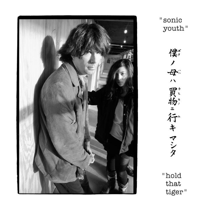 Hold That Tiger (Vinyl) - By:Sonic Youth