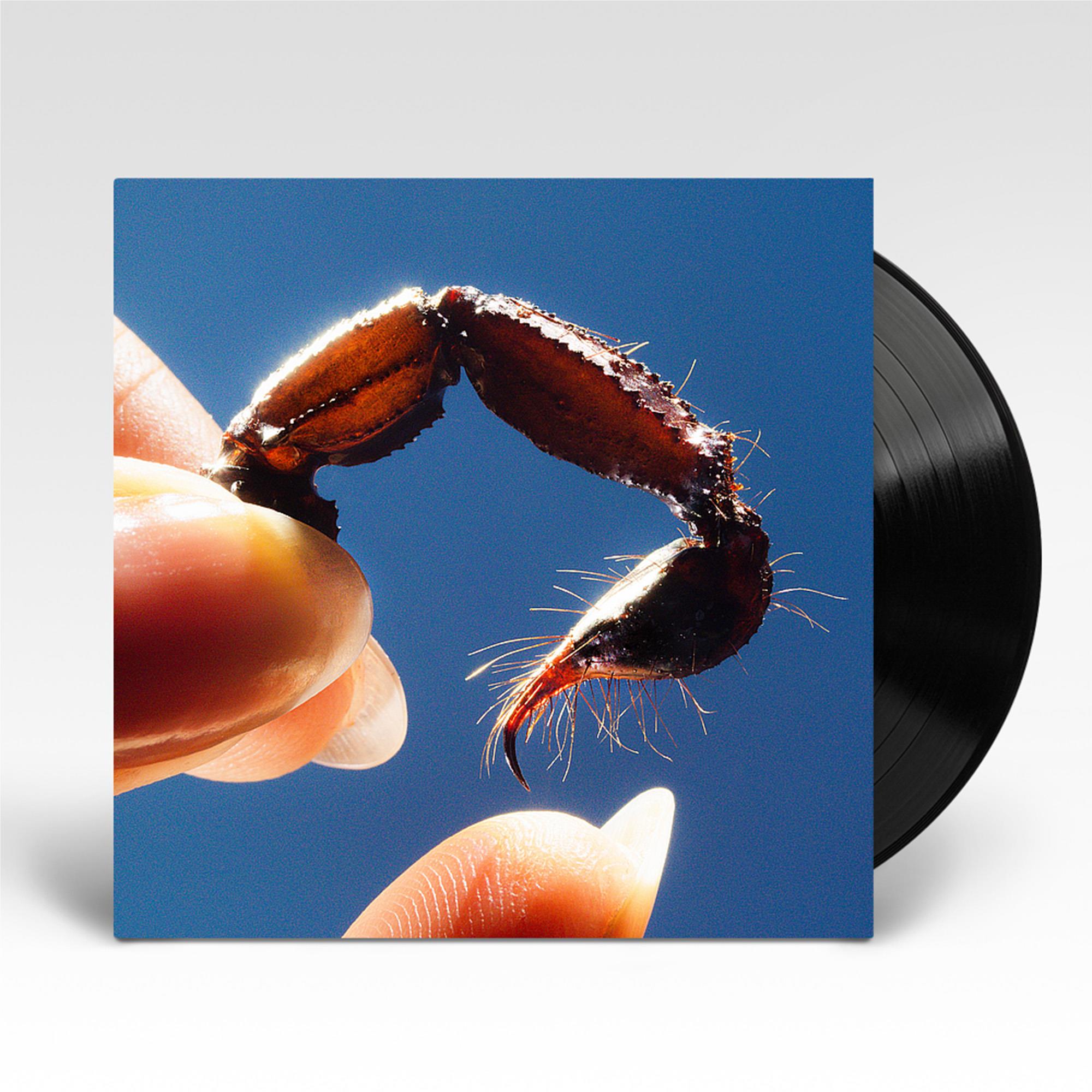 Cowards (Vinyl) - By: Squid