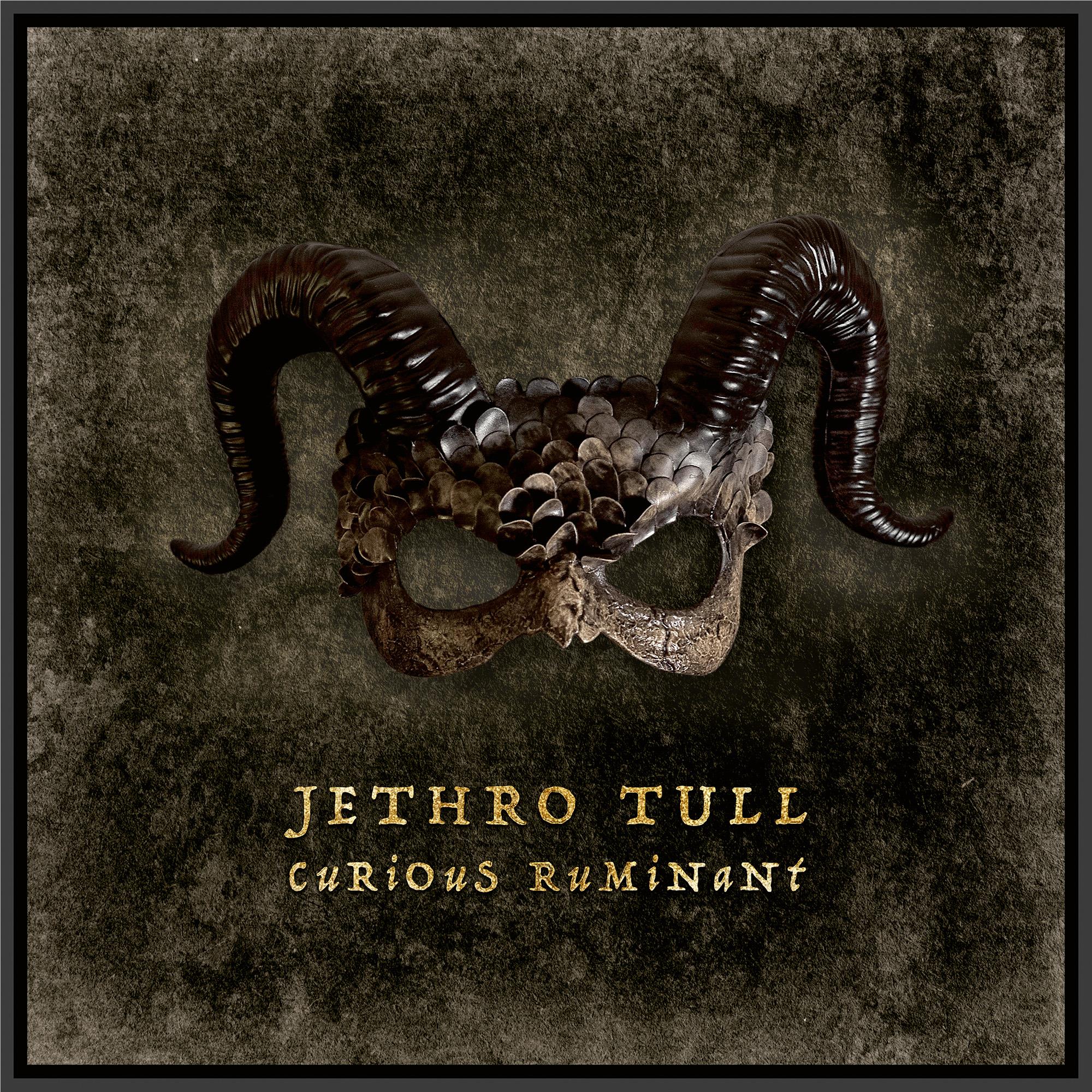 Curious Ruminant, By: Jethro Tull
