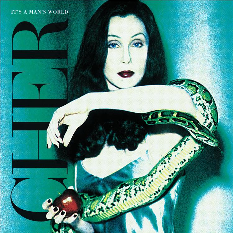It's A Mans World (Vinyl) - By: Cher