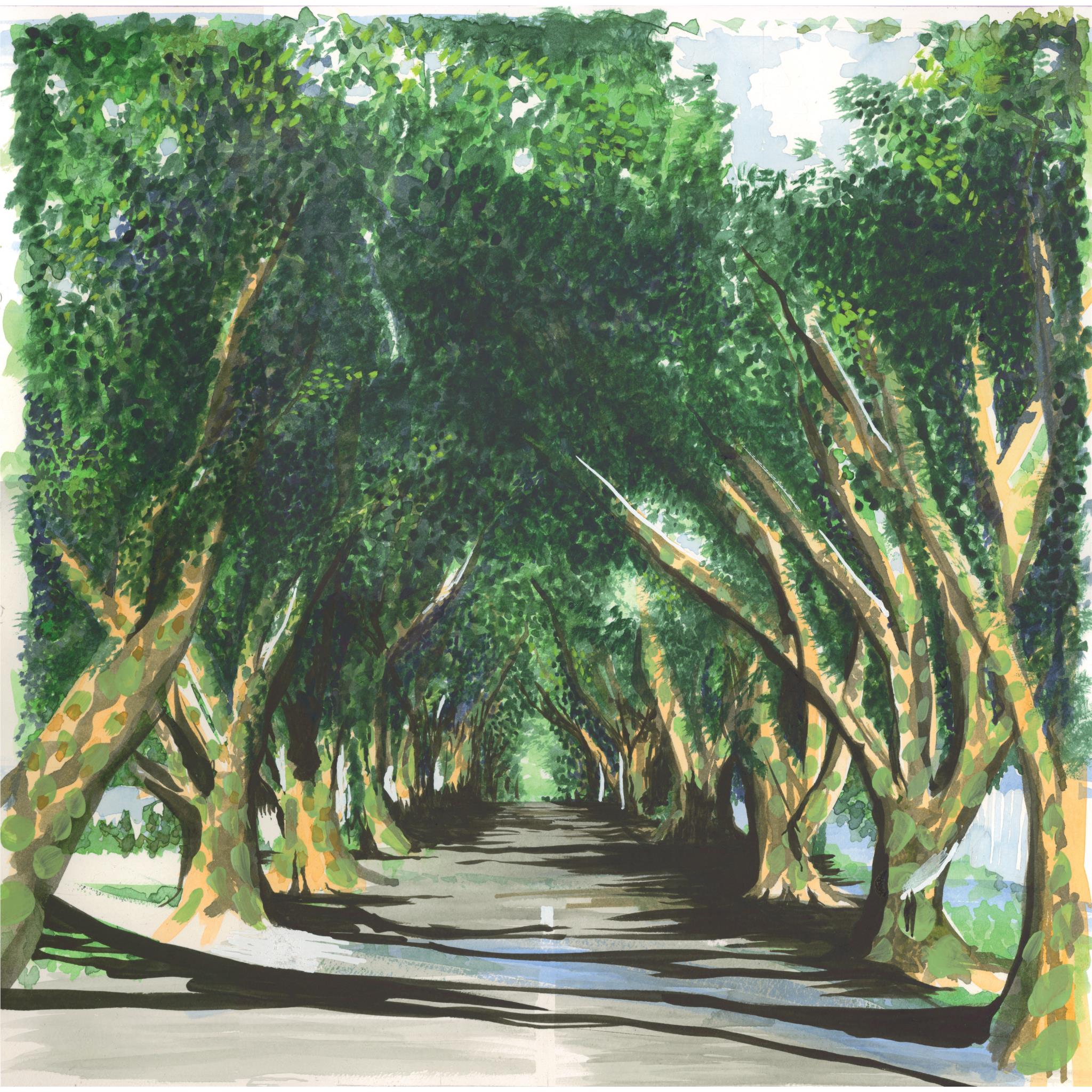 Long Road Home (Vinyl) - By: Ocean Beach