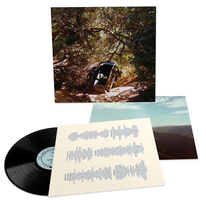 Possession (Vinyl) - By:Ty Segall