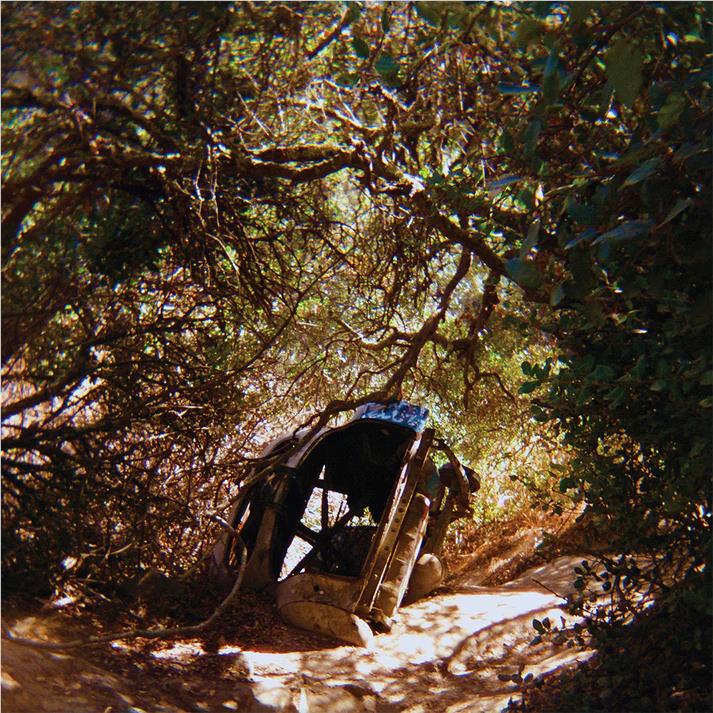 Possession (Vinyl) - By:Ty Segall