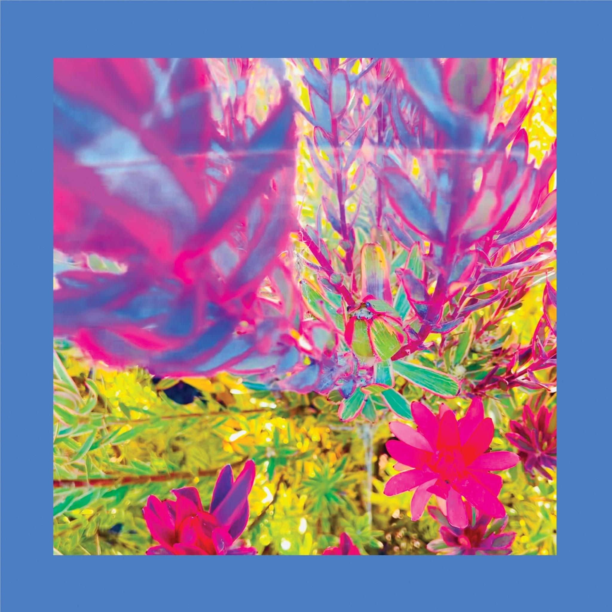 The Past Is A Garden I Never Fed (Pink Vinyl) - By:The Red Pinks And Purples