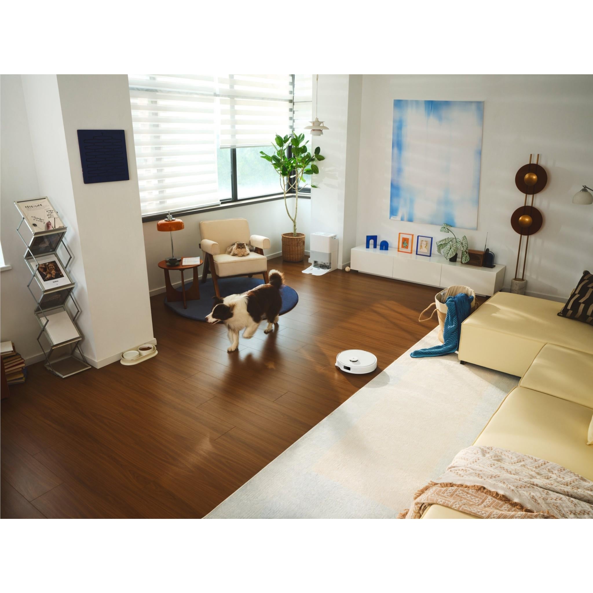 Roborock Qrevo Edge C Vacuum Cleaner (White)