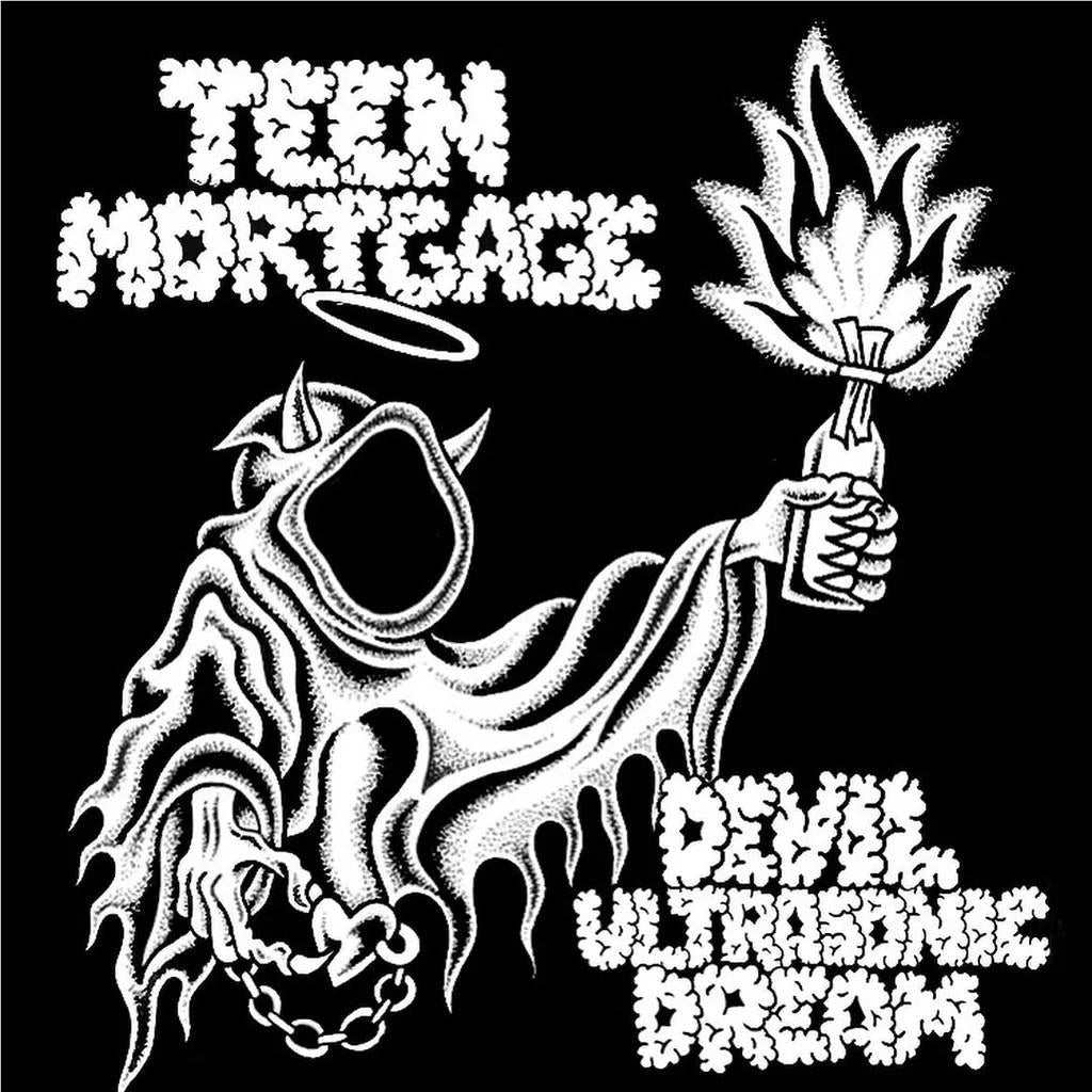 Devil Ultrasonic Dream (Vinyl) - By: Teen Mortgage