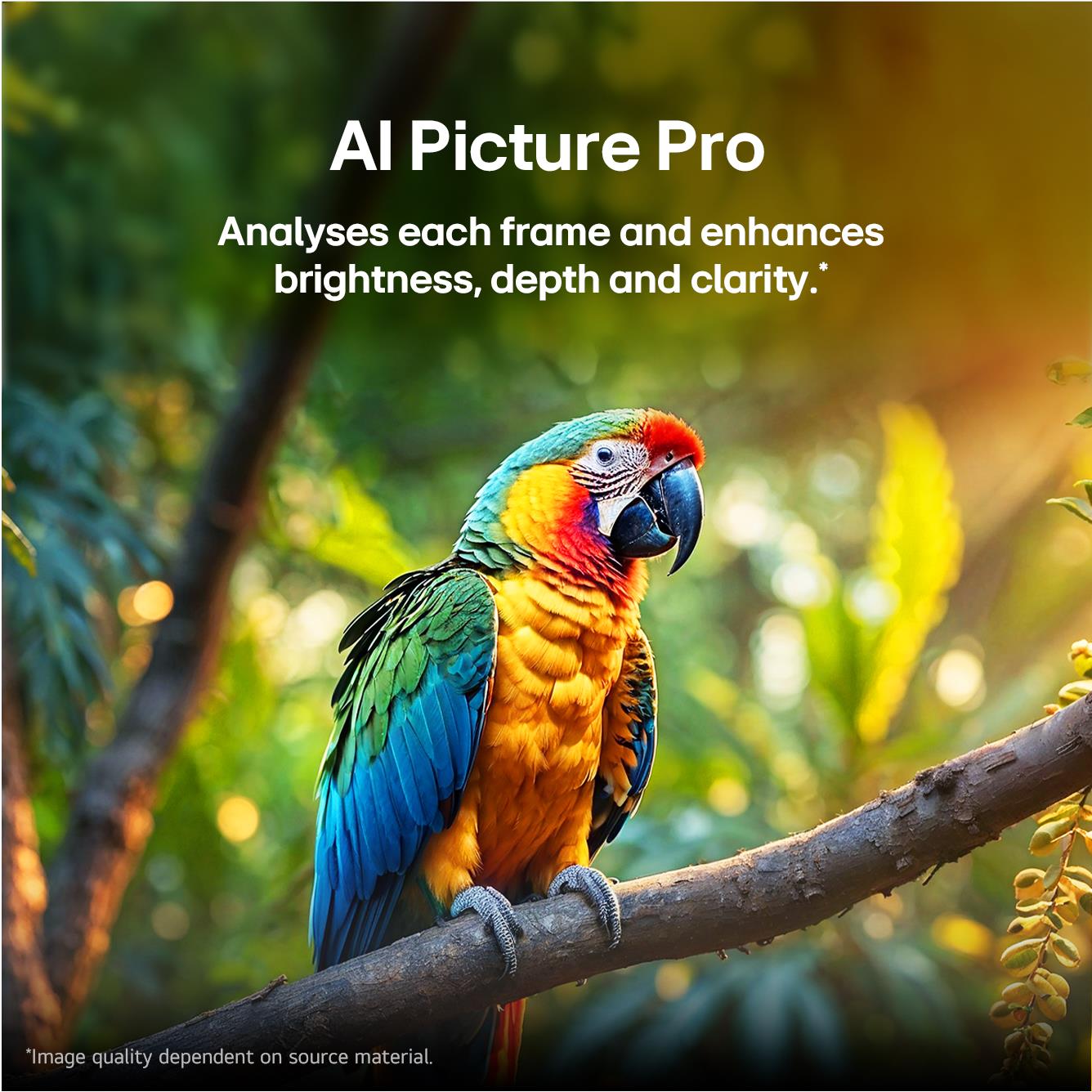AI picture enhancement display showing a colorful parrot on a branch