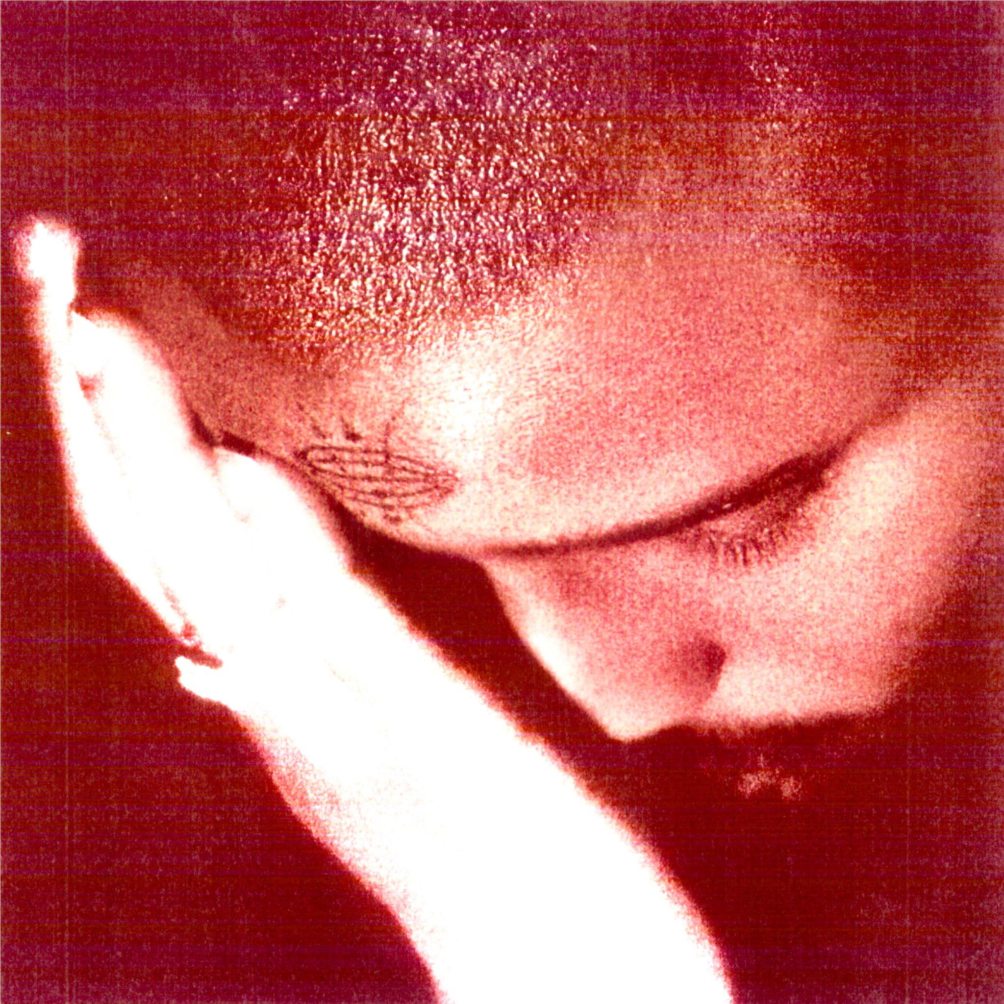 The Passionate Ones (Vinyl) - By: Nourished By Time