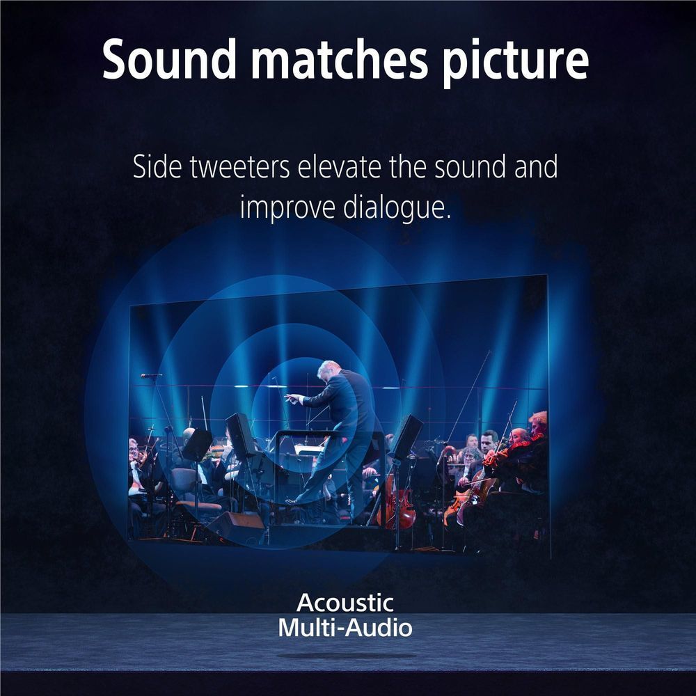 TV displaying concert performance with acoustic multi-audio graphic on screen